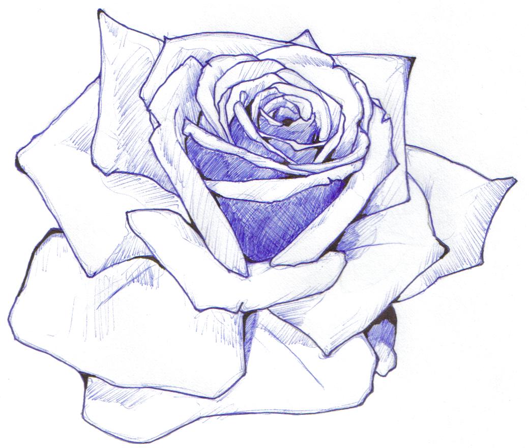 Rose design 2 The tattoo